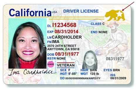 dmv the real id